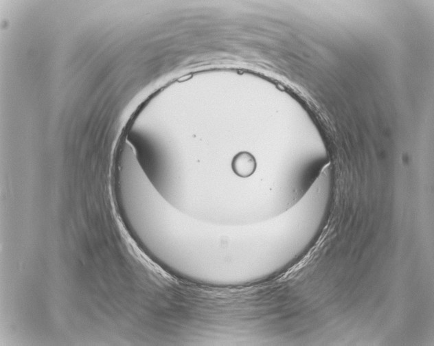 X0000057071518200510071419