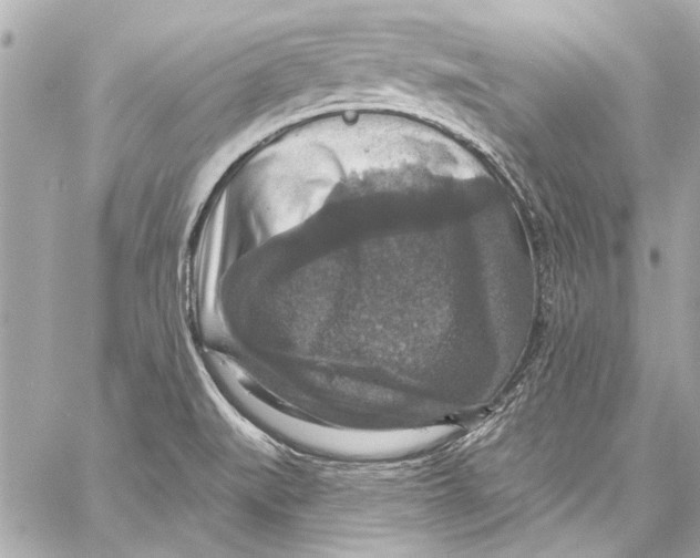 X0000057071519200510071419