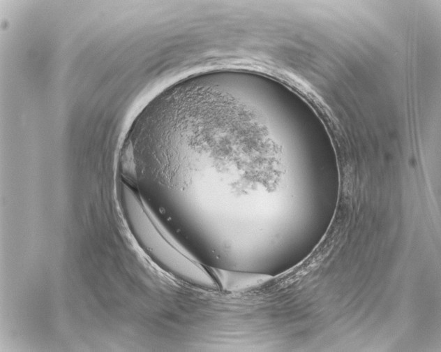 X0000057071520200510071419