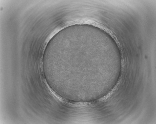 X0000057071521200510071419