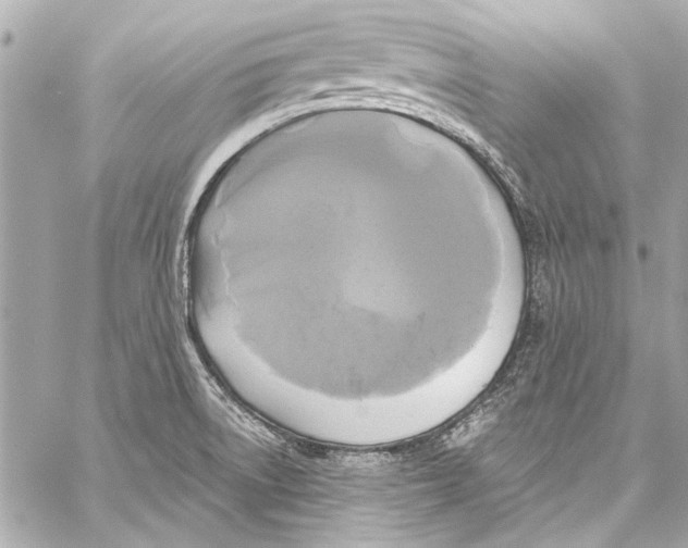 X0000057071522200510071419