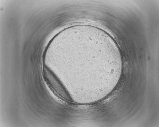 X0000057071523200510071419