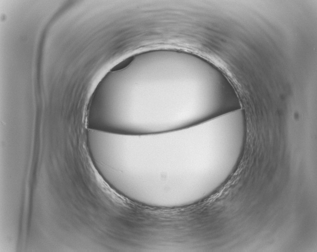 X0000057071524200510071419