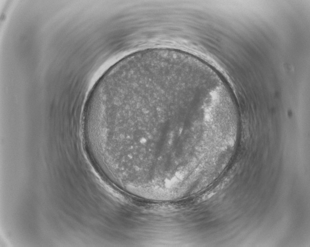 X0000057071525200510071419