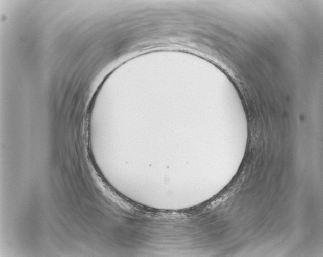 X0000057071526200510071419