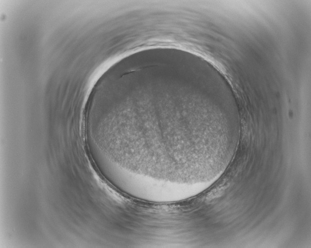 X0000057071527200510071419