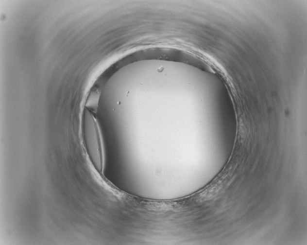 X0000057071528200510071419