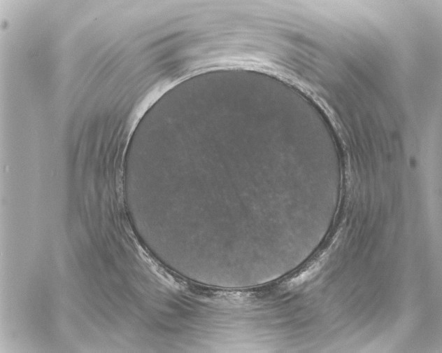 X0000057071529200510071419