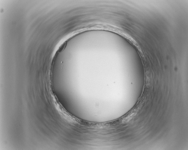 X0000057071530200510071419