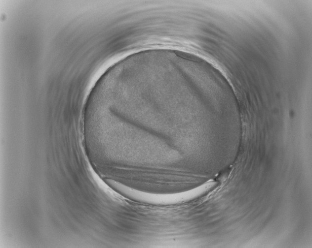 X0000057071531200510071419