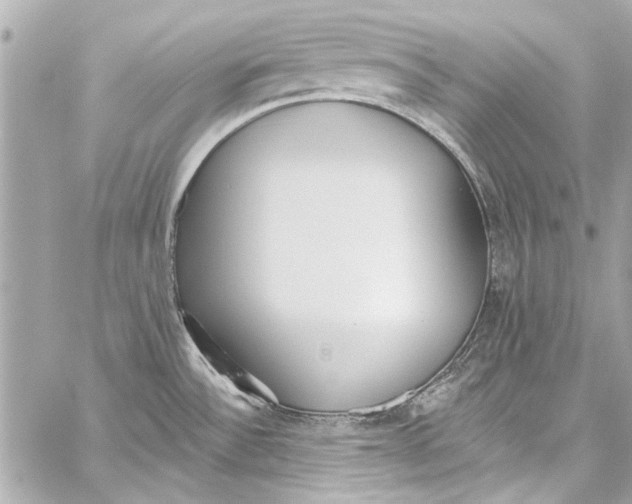 X0000057071532200510071419