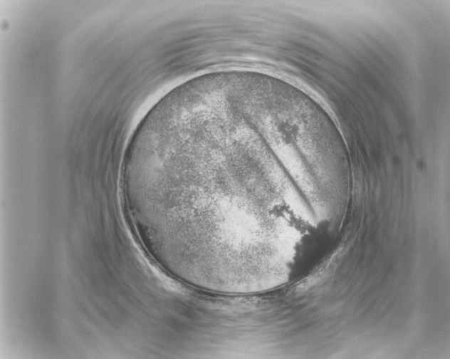 X0000057071533200510071419