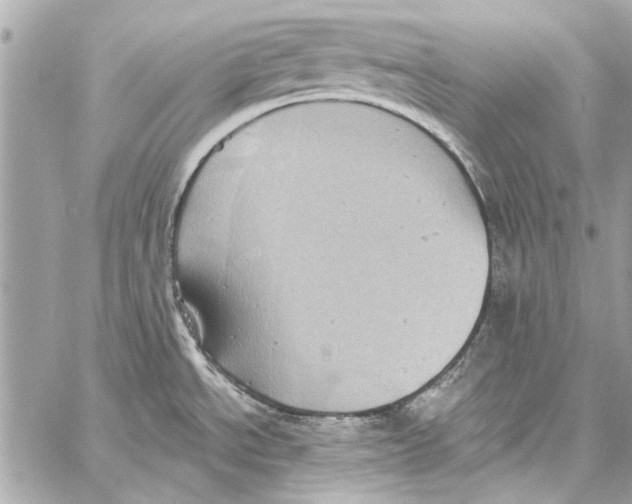 X0000057071534200510071419