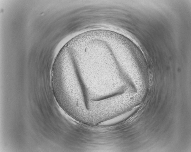 X0000057071535200510071419