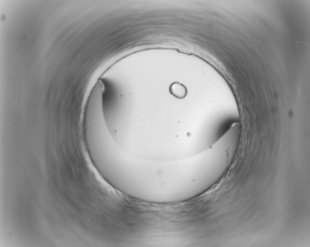 X0000057071536200510071419