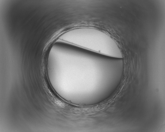 X0000057080005200509090925