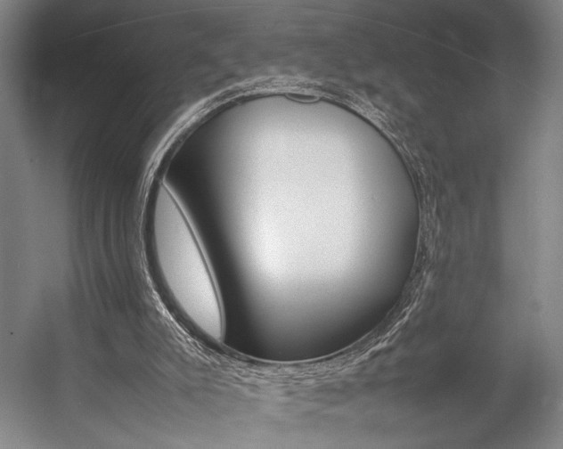 X0000057080007200509090925