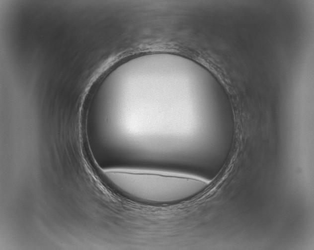 X0000057080008200509090925