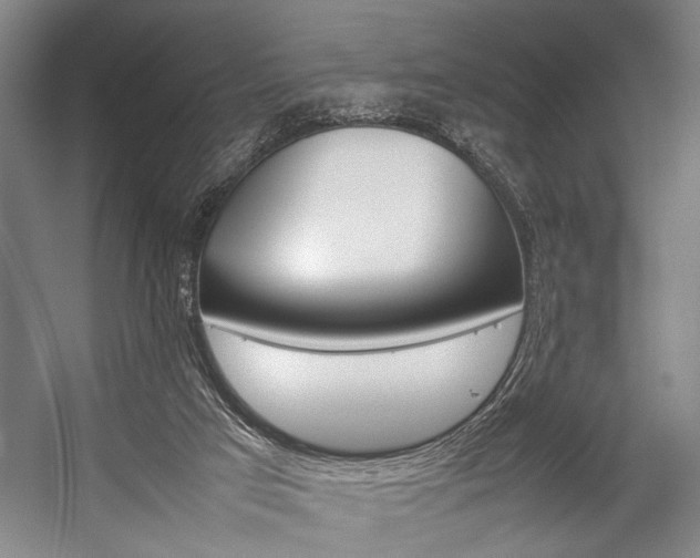 X0000057080017200509090924