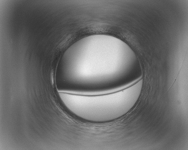 X0000057080021200509090924