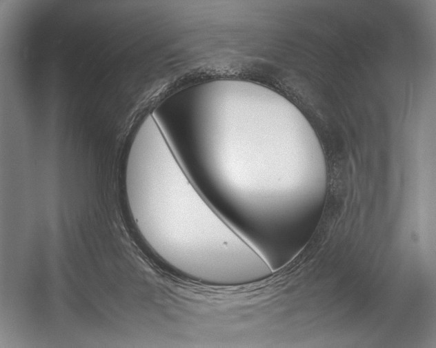 X0000057080023200509090924