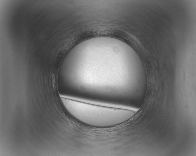X0000057080025200509090924
