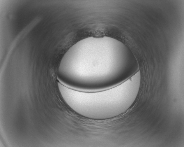 X0000057080037200509090924