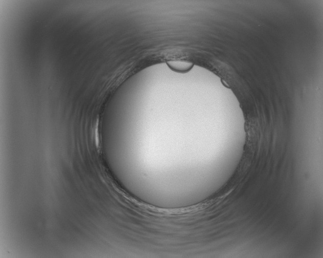 X0000057080046200509090924