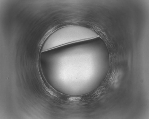 X0000057080051200509090923
