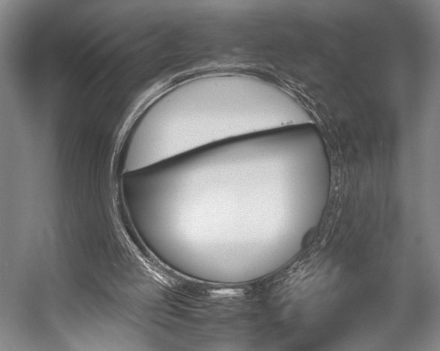 X0000057080053200509090923