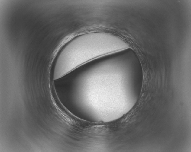 X0000057080054200509090923