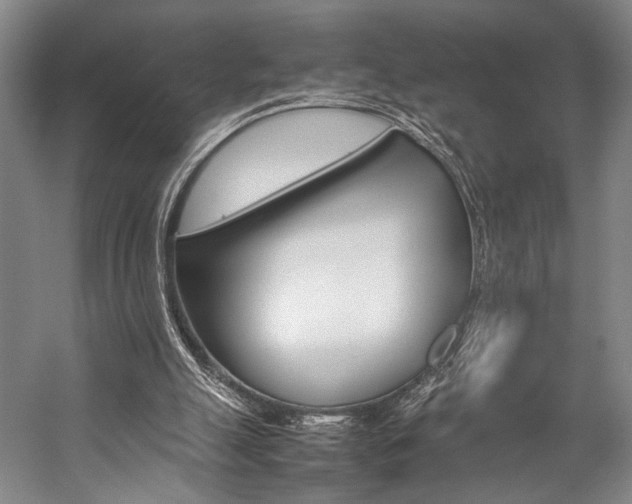X0000057080055200509090923