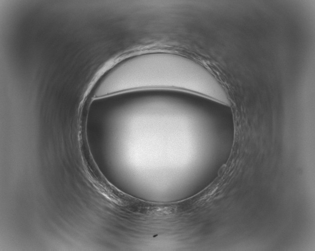 X0000057080056200509090923