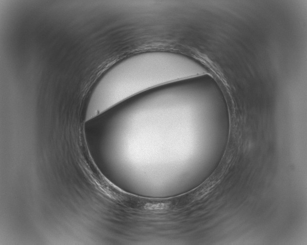 X0000057080057200509090923