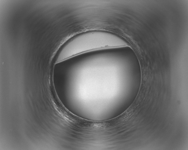 X0000057080060200509090923
