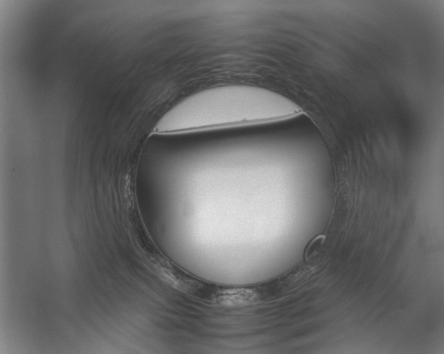 X0000057080087200509090924