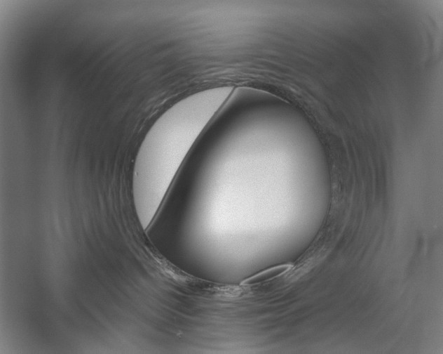 X0000057080096200509090924