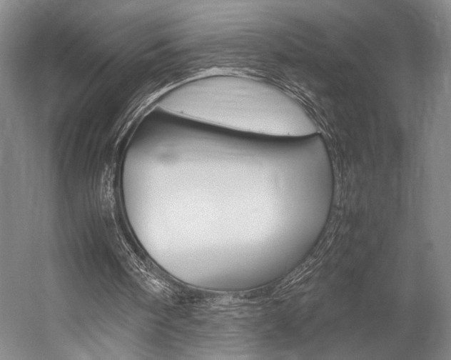 X0000057080098200509090923