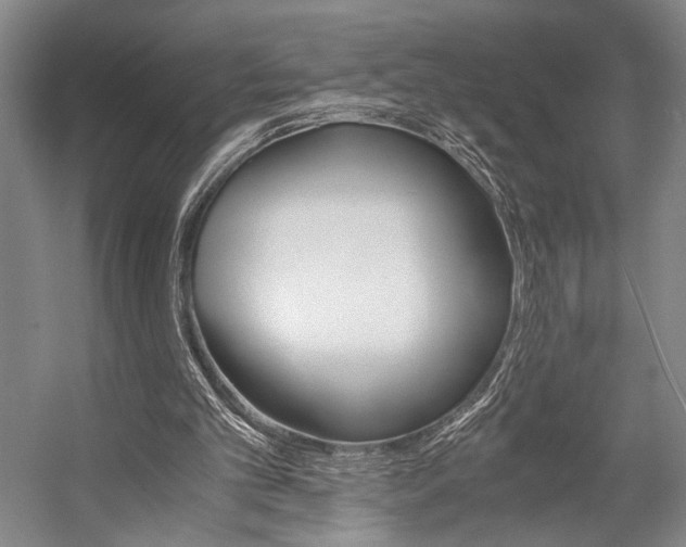 X0000057080101200509090923