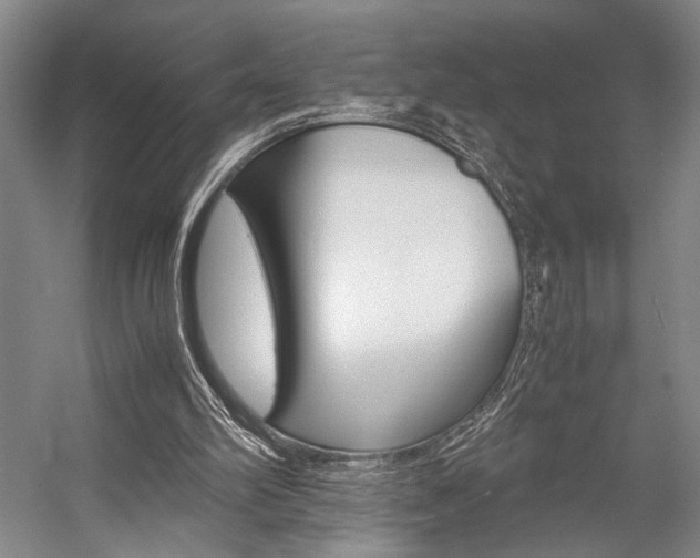 X0000057080102200509090923