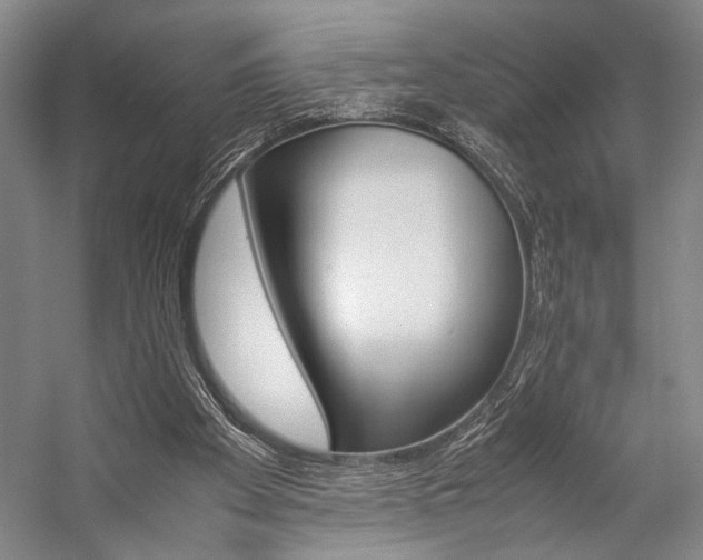 X0000057080105200509090923