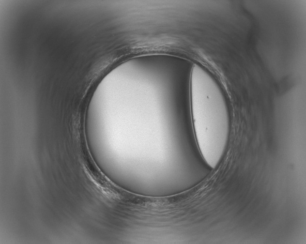 X0000057080107200509090923