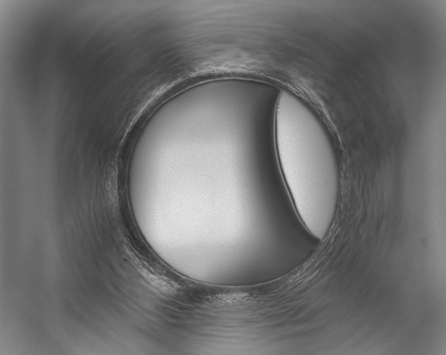 X0000057080108200509090923