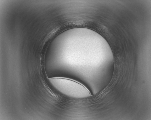 X0000057080116200509090923
