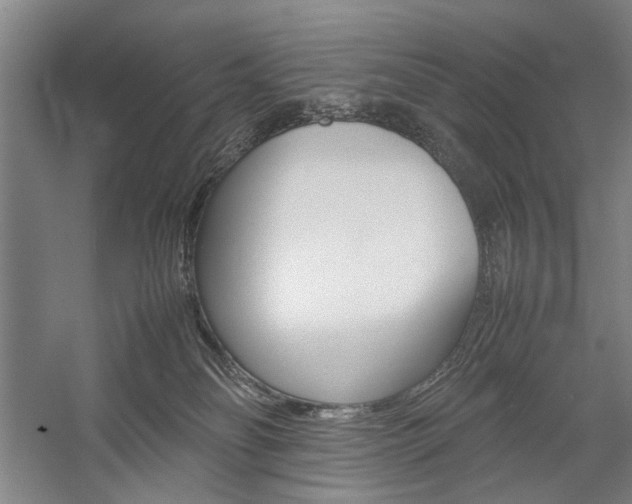 X0000057080134200509090922