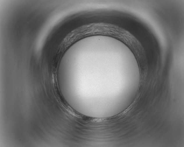 X0000057080142200509090922