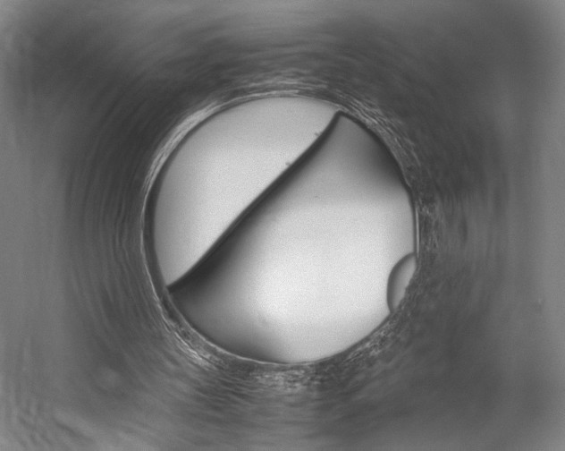 X0000057080147200509090921