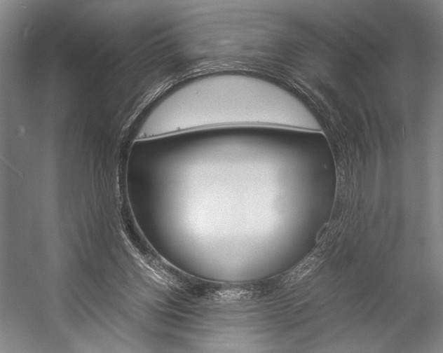 X0000057080158200509090922