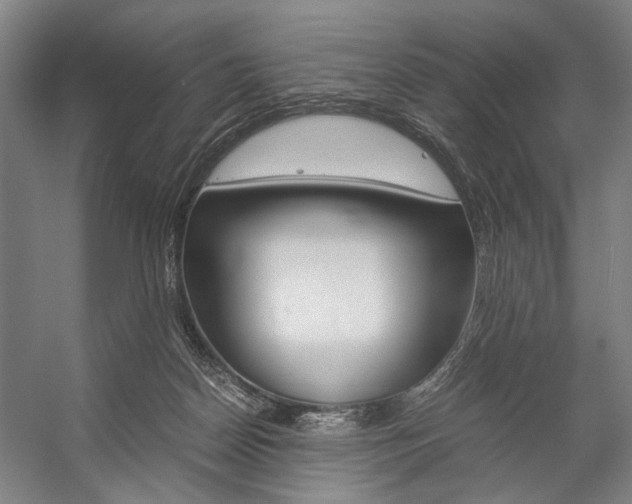 X0000057080170200509090922