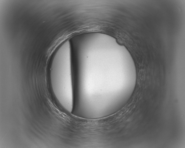 X0000057080194200509090921